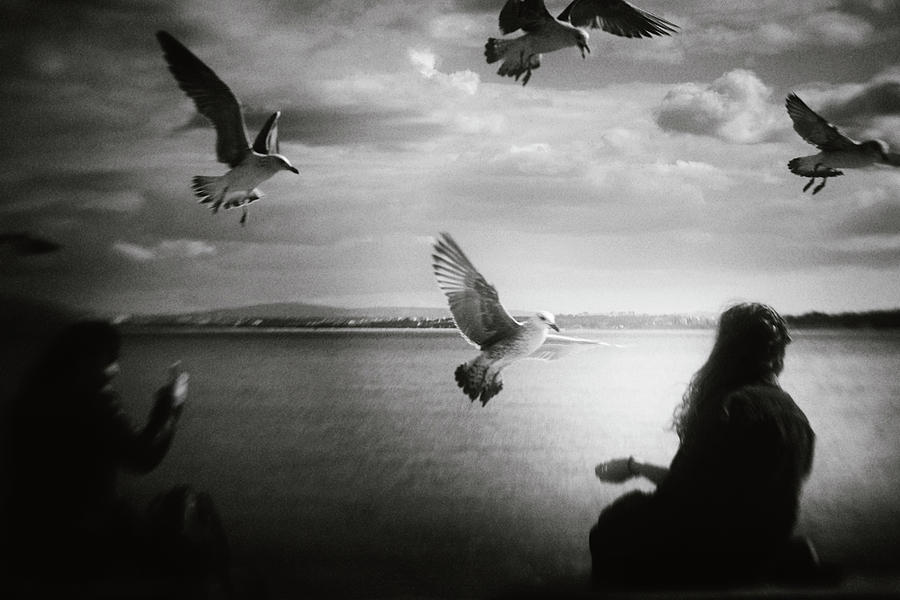 Bird Photograph - Soul Call by Laura Mexia