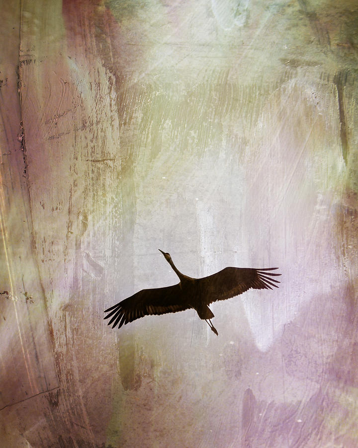 Crane Photograph - Soul Flying by Melissa Smith