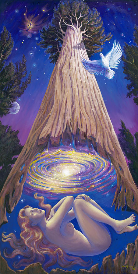 Dove Painting - Soul Tree by Brenda Ferrimani