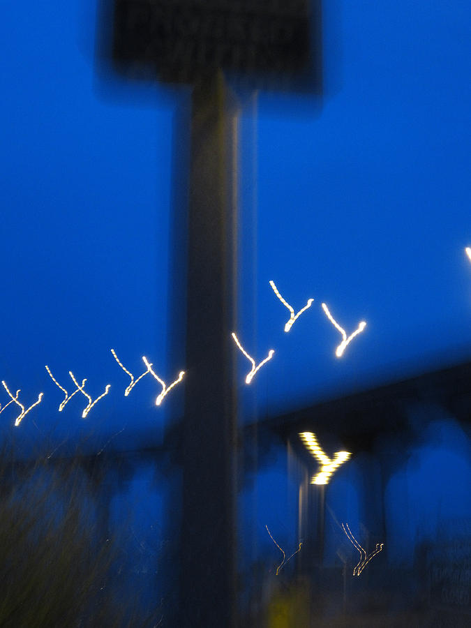 Souls Leaving Coronado Bridge Photograph