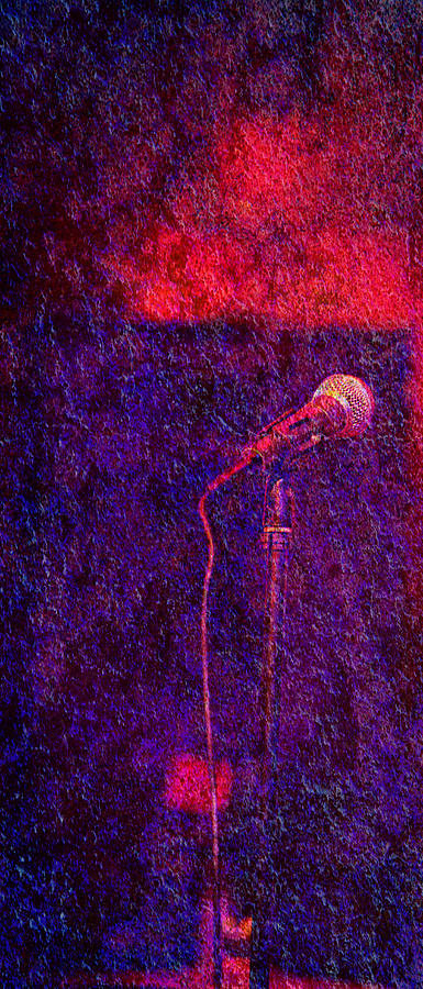 Sound Bites Niche Art Microphone Photograph by Bob Coates