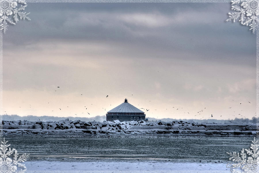 Tree Photograph - Sound of Gulls on a Frozen Lake by Michael Frank Jr