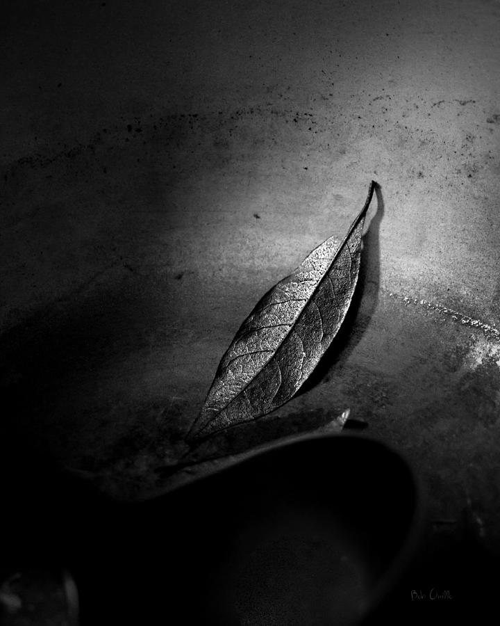 Bay Leaf Photograph - Soup Kitchen by Bob Orsillo