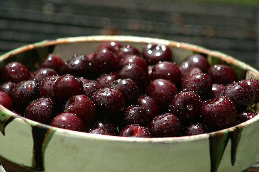 Sour cherries in a bowl Photograph by Emanuel Tanjala