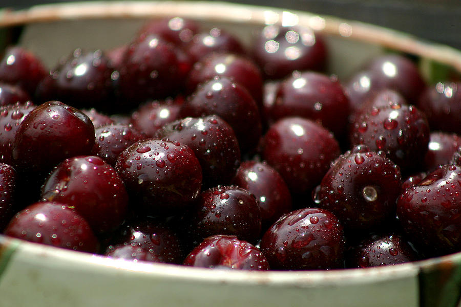Sour cherries in bowl Photograph by Emanuel Tanjala