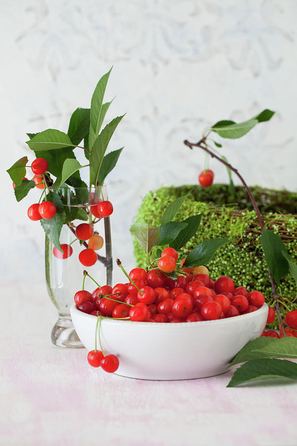Sour Cherries Photograph by Yelena Strokin
