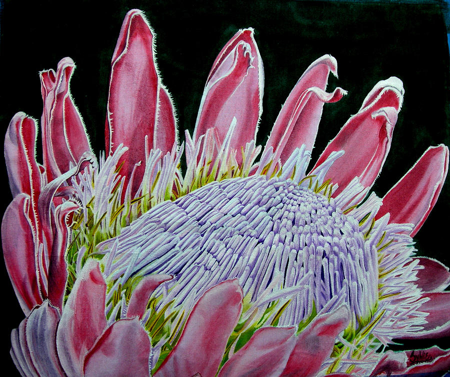 South African Flower Protea Painting Painting by Sylvie Heasman