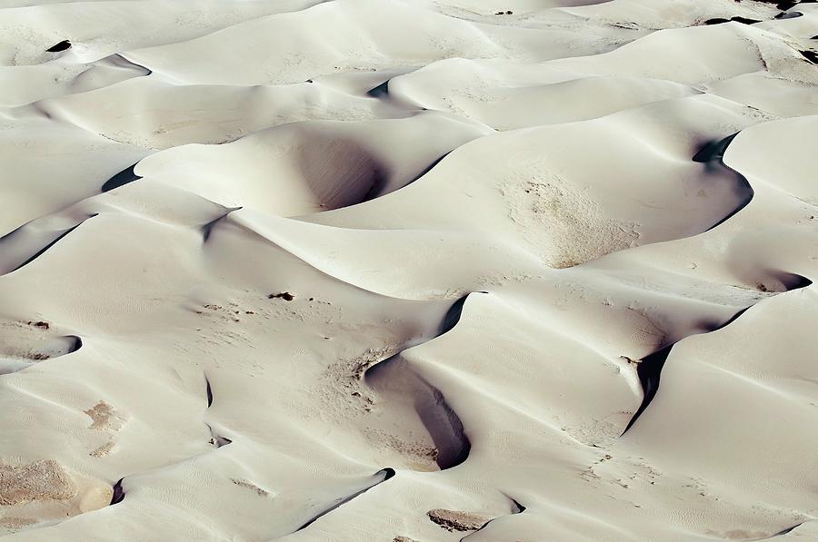South African Sand Dunes Photograph by Peter Chadwick/science Photo Library