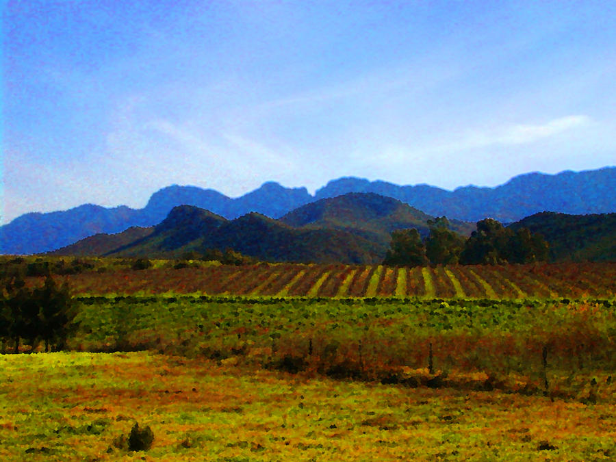 Mountain Photograph - South African Winelands 2 by Lenore Senior