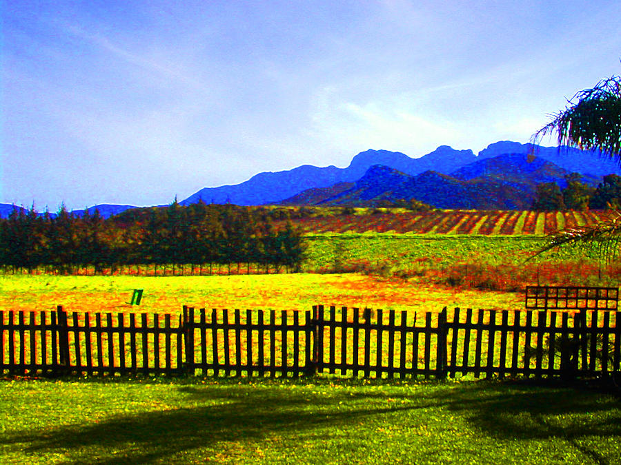 Mountain Photograph - South African Winelands by Lenore Senior