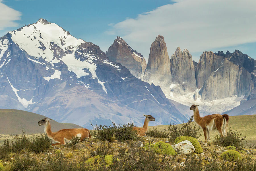 South America, Chile, Patagonia, Torres Photograph by Jaynes Gallery ...