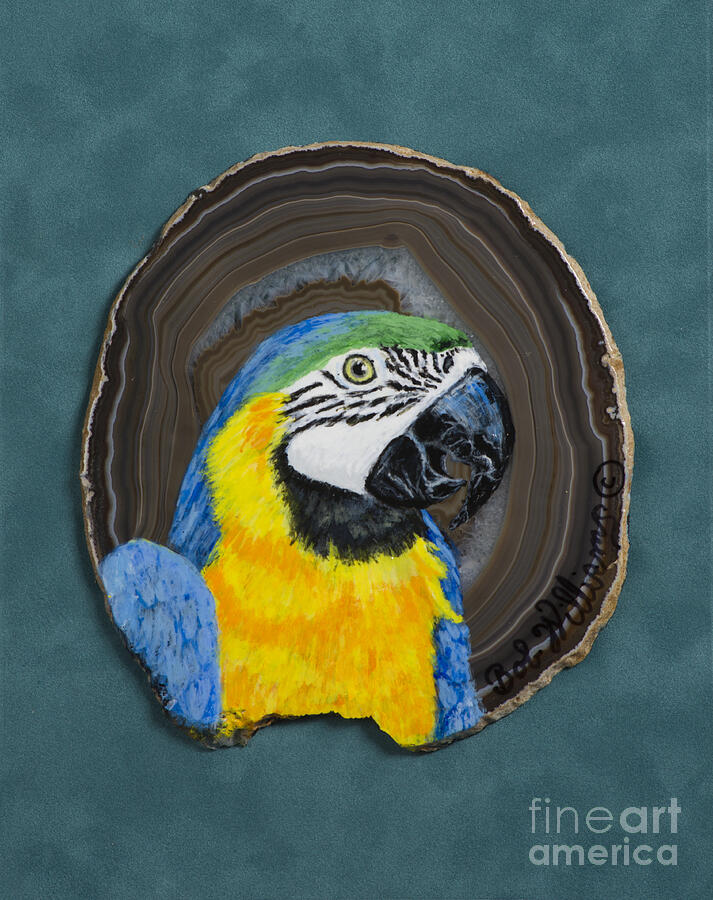 Macaw Painting - South American Beauty by Bob Williams
