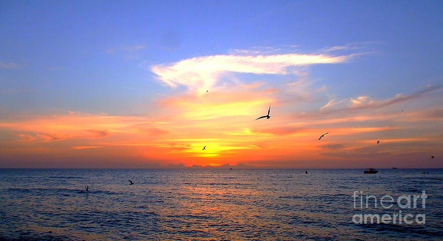South Beach Sunrise Photograph by Tammy Chesney