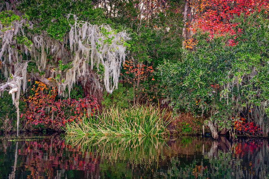 South Carolina Fall Colors Photograph by Marc Crumpler