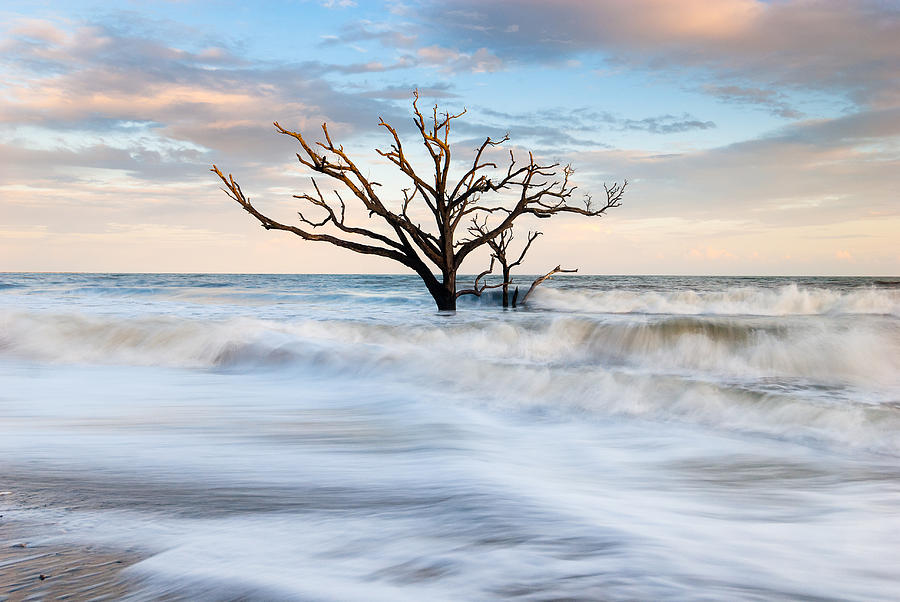 Sunset Photograph - South Carolina Low Country Tree in Surf by Mark VanDyke