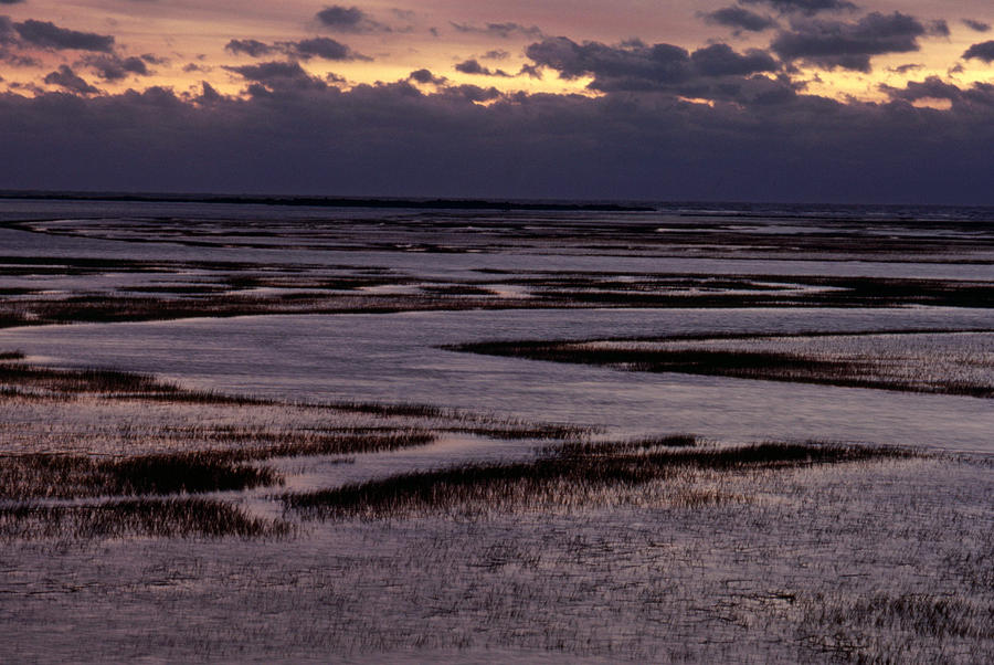 South Carolina Marsh At Sunrise Photograph by Larry Cameron