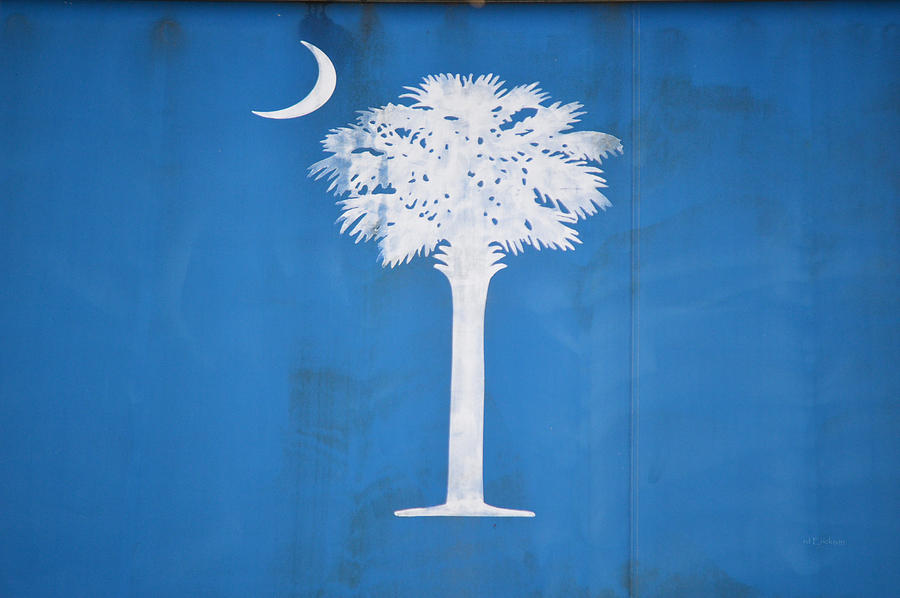 palmetto tree and crescent moon