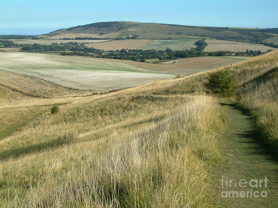 South Downs footpath - England Photograph by Phil Banks