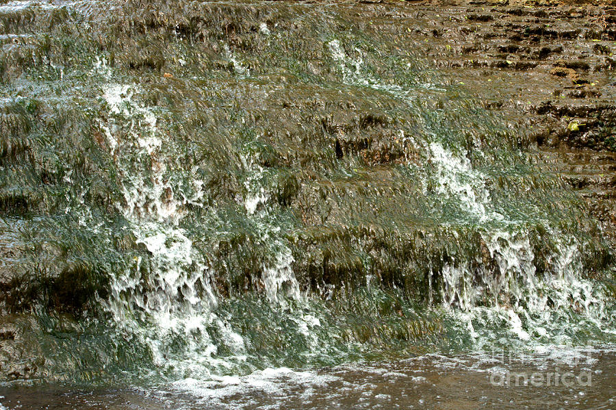 South Elgin Falls Algae and Moss Photograph by Deborah Smolinske
