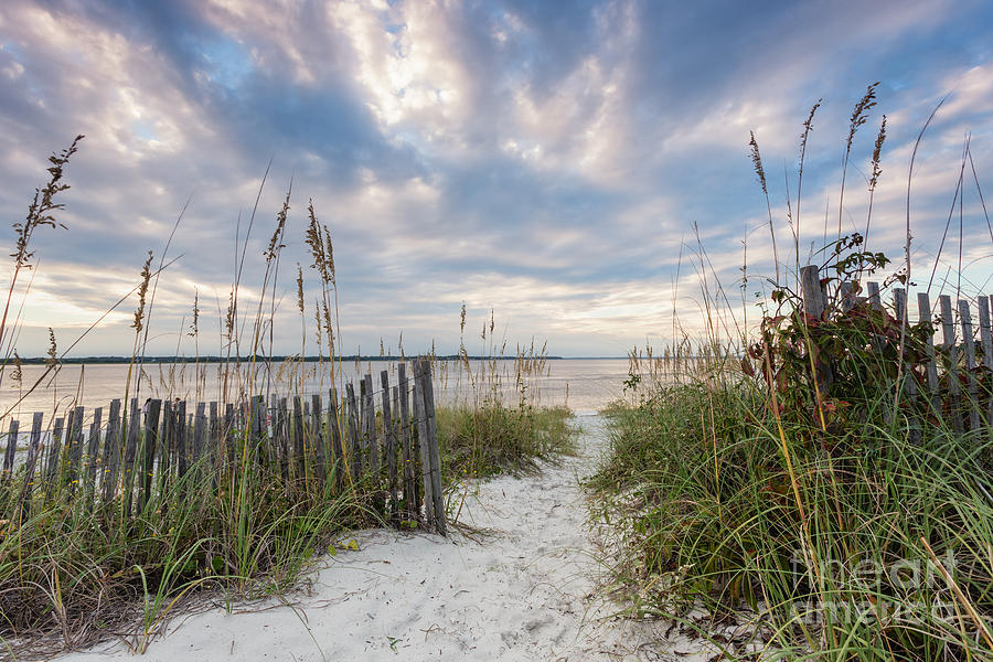 South End Sojourn Amelia Island Florida Photograph by Dawna Moore Photography