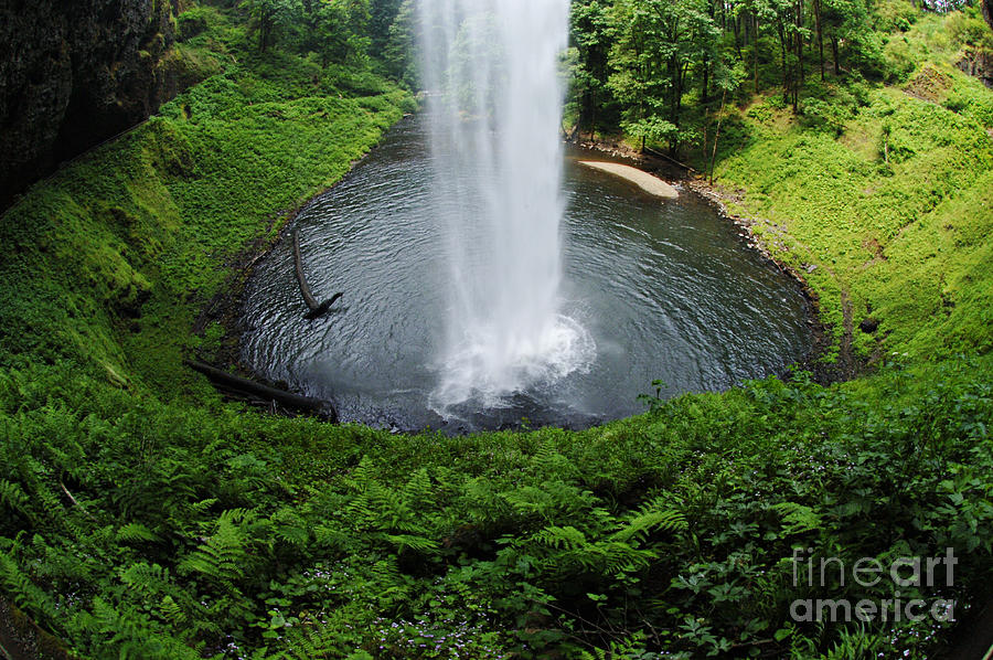 Waterfall Photograph - South Falls Oregon by Bob Christopher