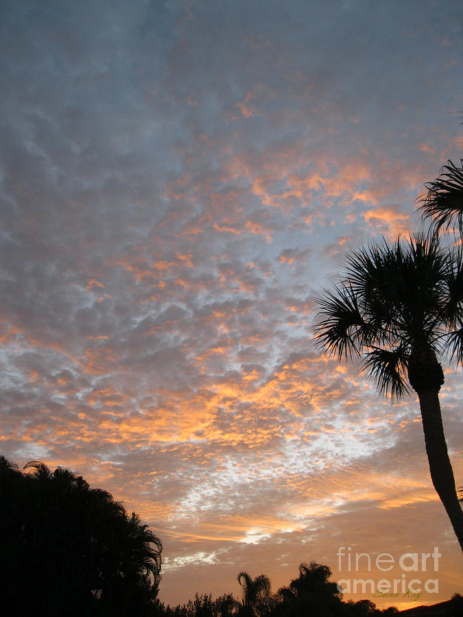 South Florida Sunrise Photograph by Oksana Semenchenko
