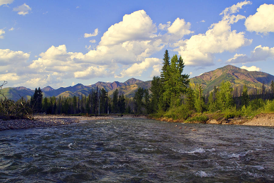 Summer Photograph - South Fork of the Flathead River by Merle Ann Loman