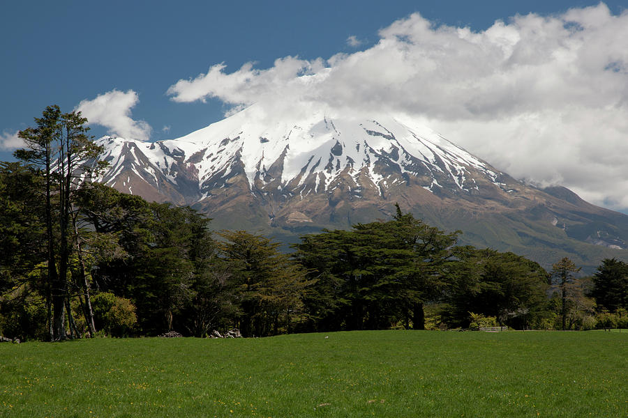 South Pacific, New Zealand, North Island Photograph by Jaynes Gallery ...