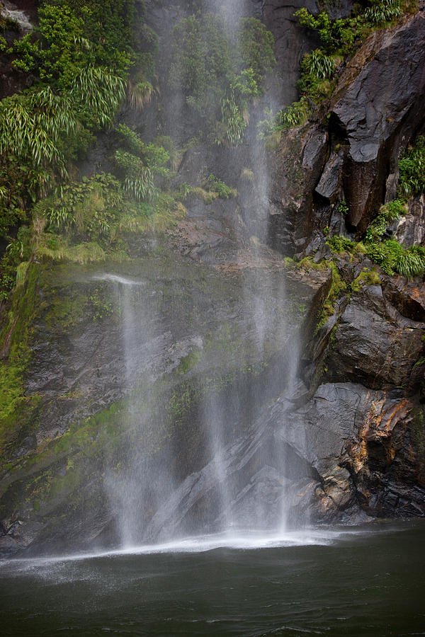 Fiordland National Park Photograph - South Pacific, New Zealand, South by Jaynes Gallery