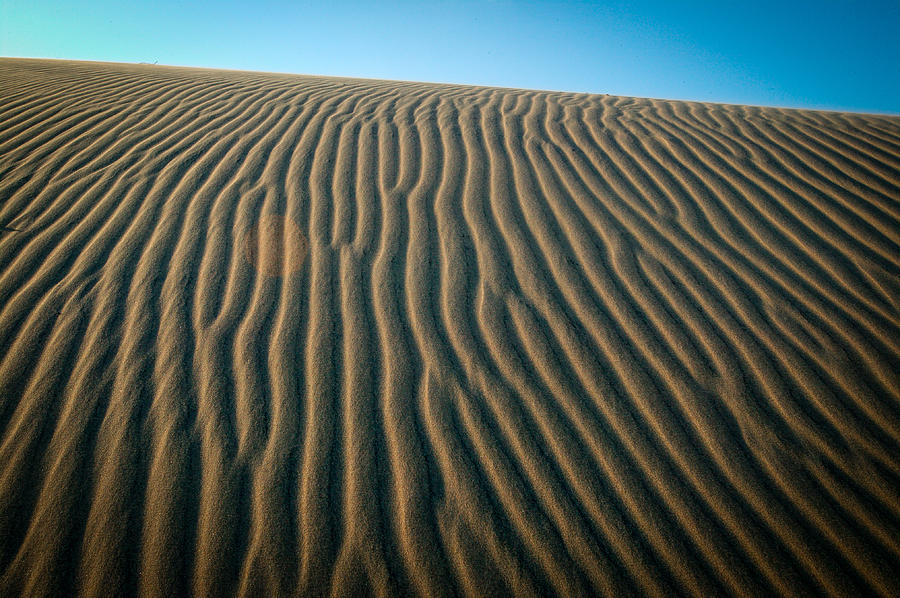 South Padre Island Dunes II Photograph by Randy Green