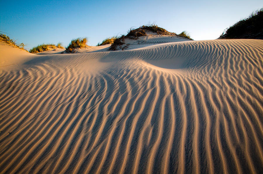 South Padre Island Dunes Photograph by Randy Green