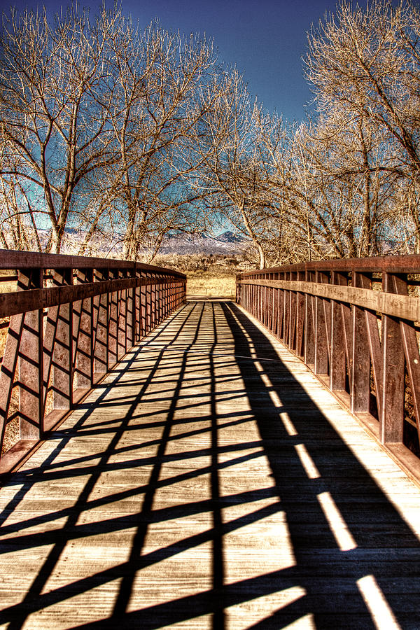 Denver Photograph - South Platte River Bridge by David Patterson