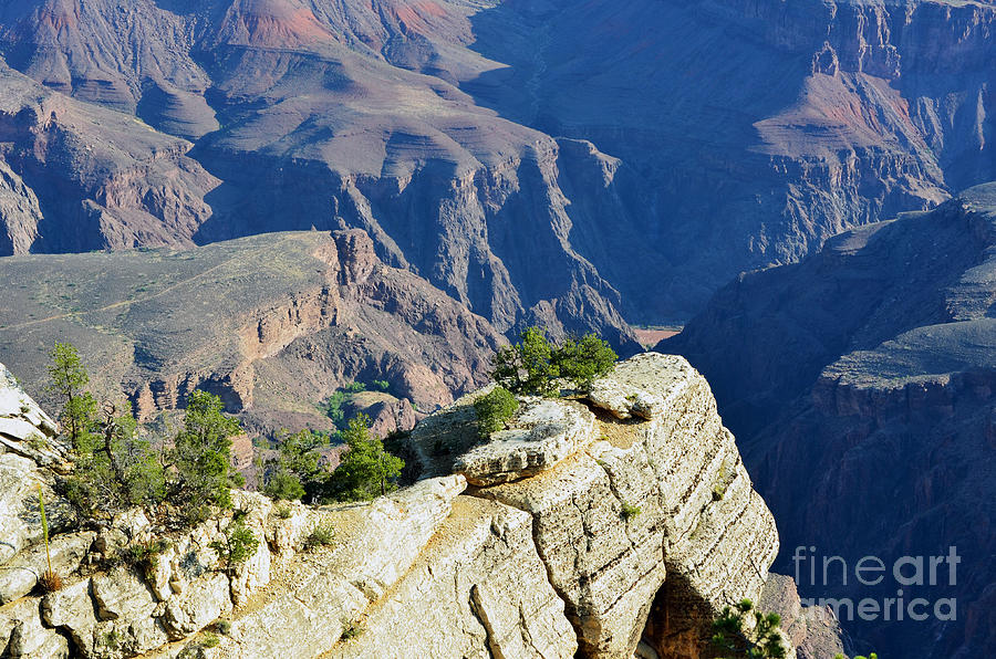 South Rim Cliffside Overlook and Plateau Point Grand Canyon National Park Photograph by Shawn OBrien