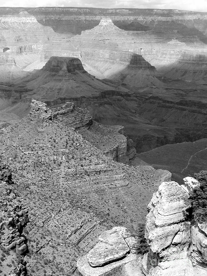 Grand Canyon National Park Photograph - South rim by George Mount