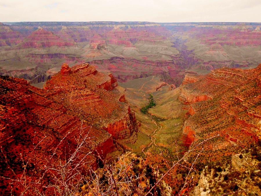 Grand Canyon National Park Photograph - South RIm Grand Canyon by Sheryl Chapman Photography