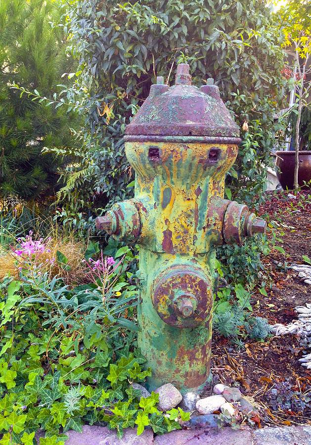 South Seattle Fire Hydrant  Photograph by Suzanne Lorenz