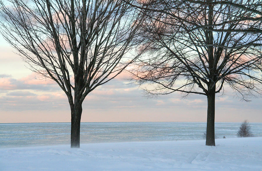 Winter Photograph - South Shore Winter by Heather Allen