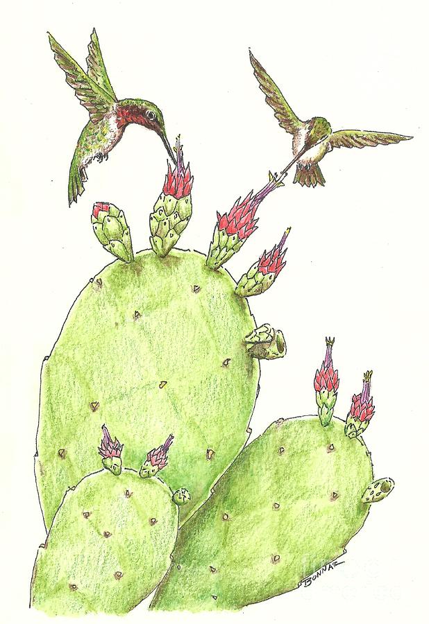 South Texas Nopales For Breakfast Drawing by Sue Bonnar