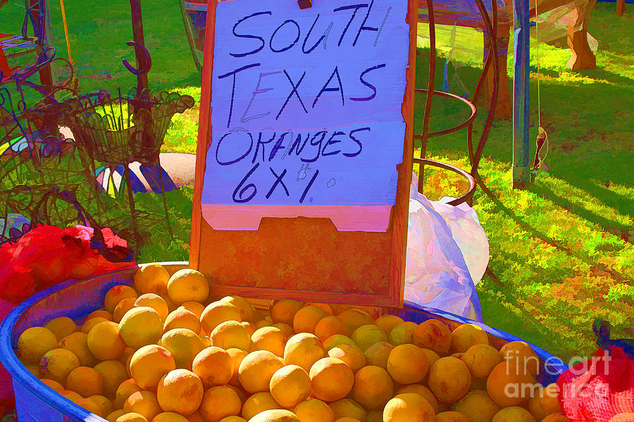 Fruit Photograph - South Texas Oranges by Audreen Gieger