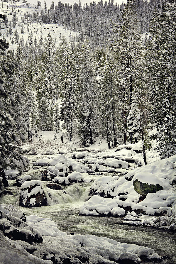 South Yuba River Photograph by Shawn McMillan - Fine Art America