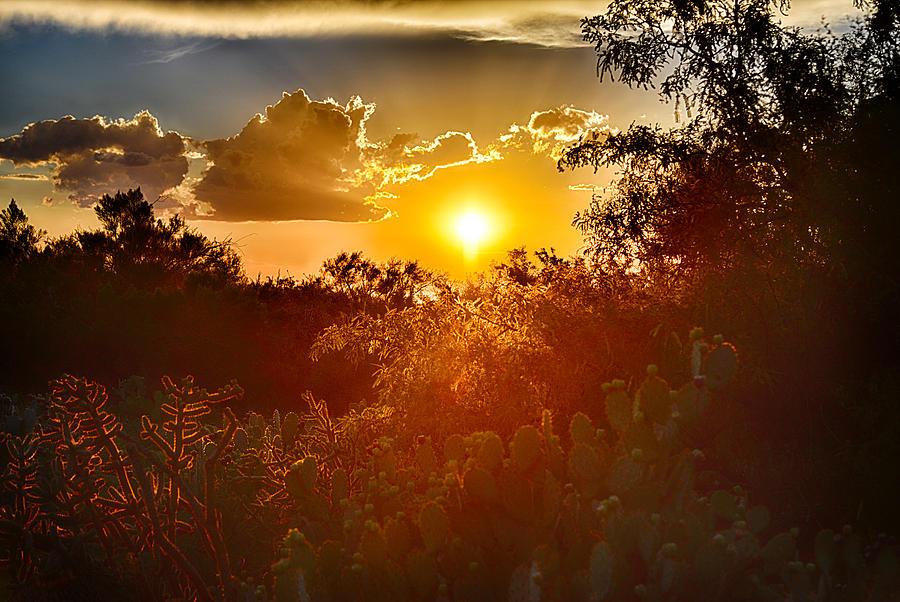 Southern Arizona Monsoon Sunset Photograph by Michael Newberry