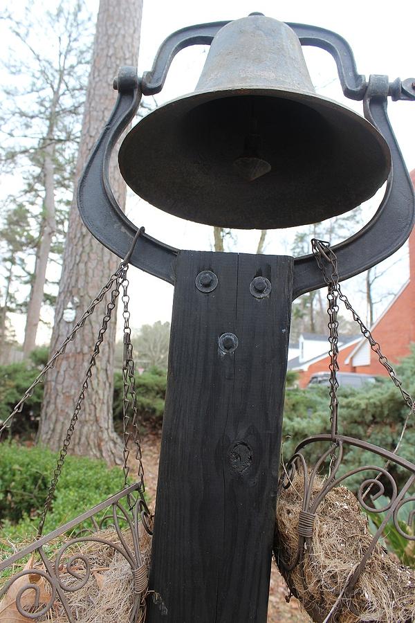 Bell Photograph - Southern Bell by Amber Flores
