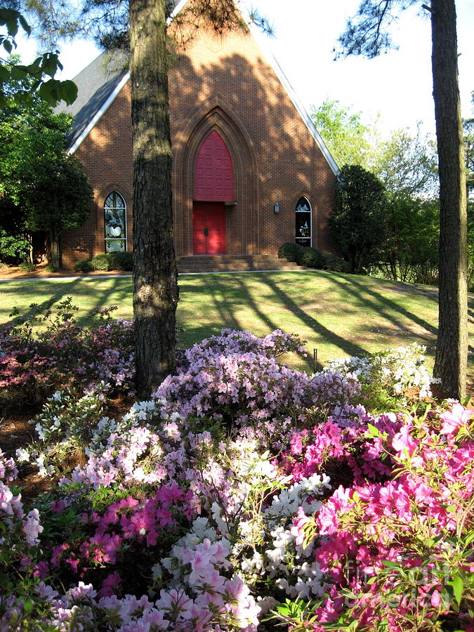 Flower Digital Art - Southern Church In Bloom by Matthew Seufer