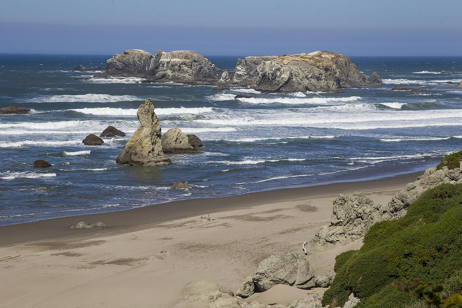 Southern Coastline 3 Photograph by George Herbert - Fine Art America