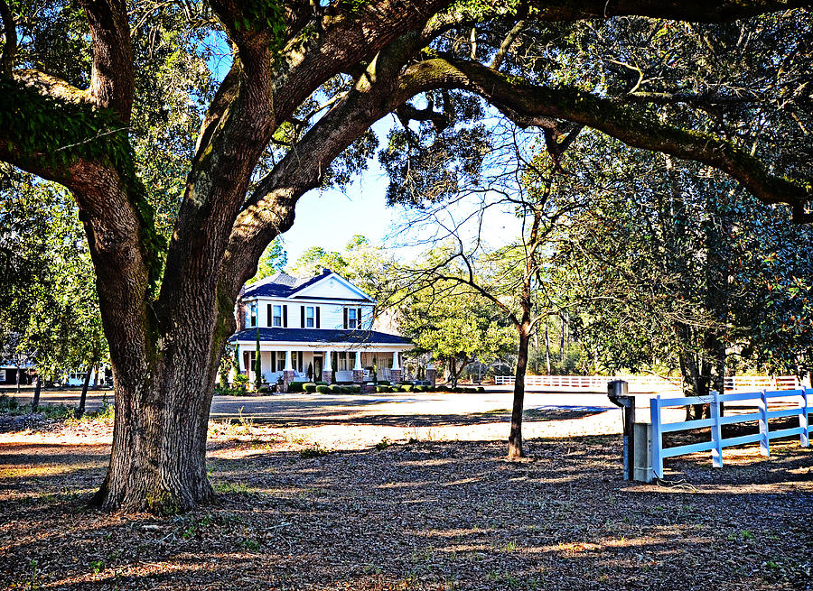 Southern Homestead Photograph by Linda Brown