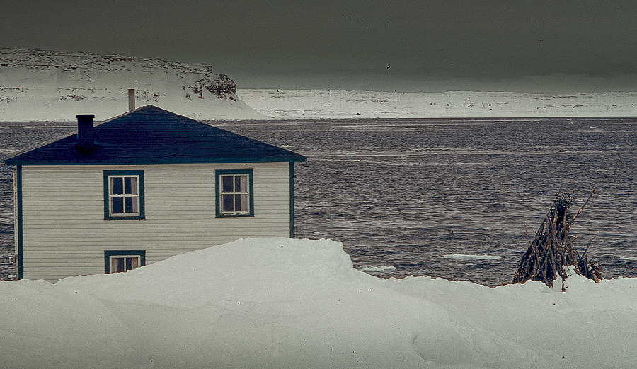 Southern Labrador Photograph by Douglas Pike