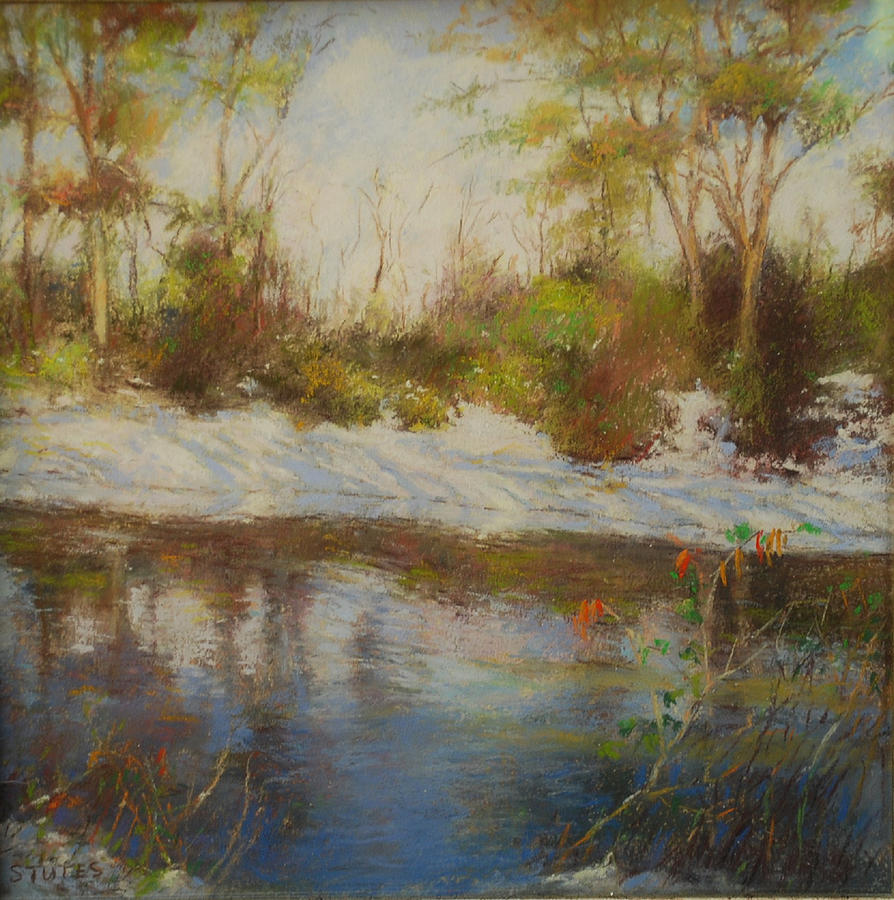 Landscape Pastel - Southern Landscapes   by Nancy Stutes