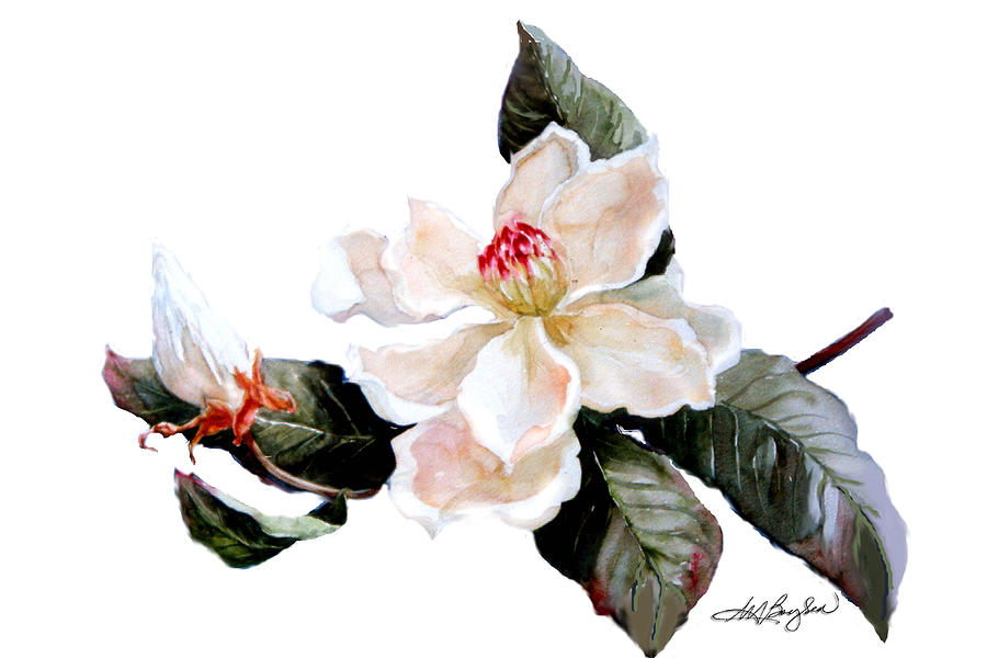 Southern Magnolia Painting - Southern Magnolia by Maryann Boysen