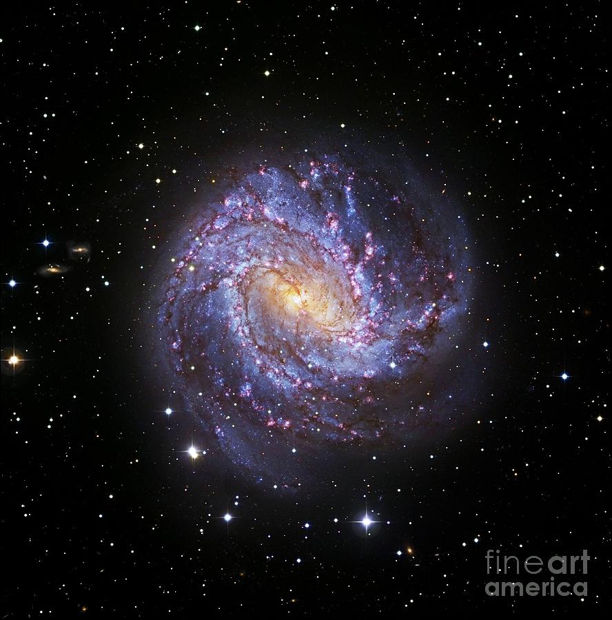 Space Photograph - Southern Pinwheel Galaxy, Hubble Image by Robert Gendler