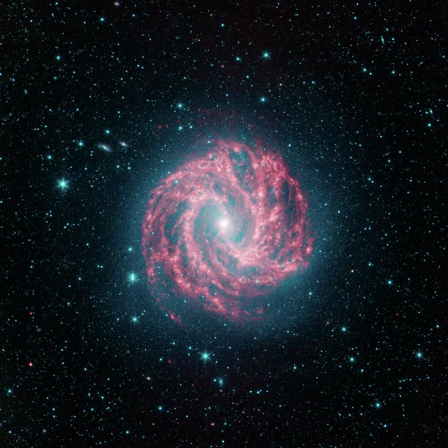 Southern Pinwheel Galaxy Photograph by Nasa/jpl-caltech/science Photo Library